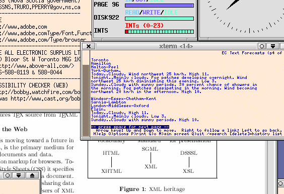 screenshot of lynx browser